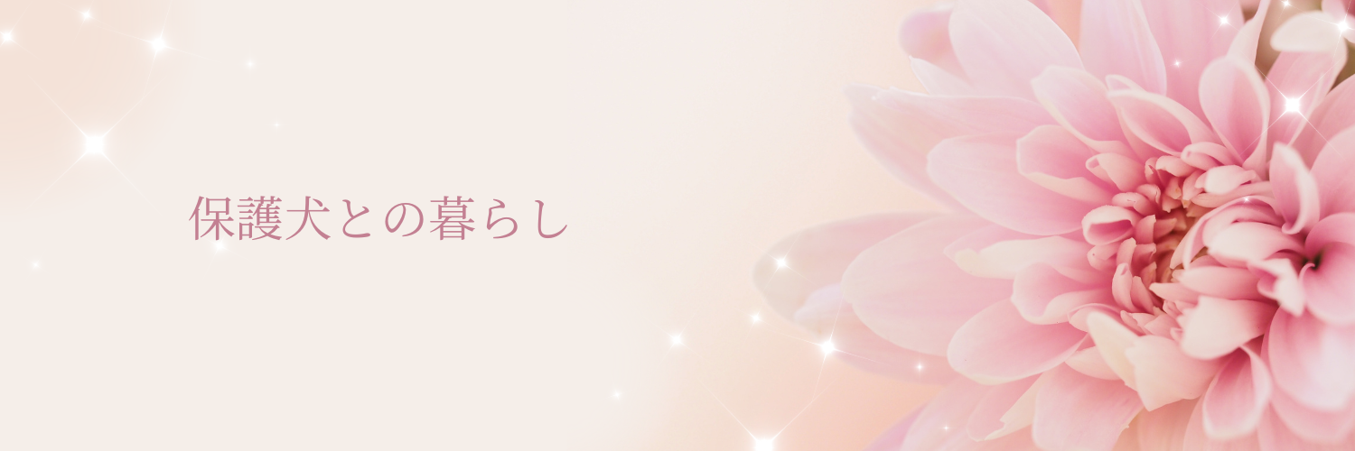 保護犬との暮らし